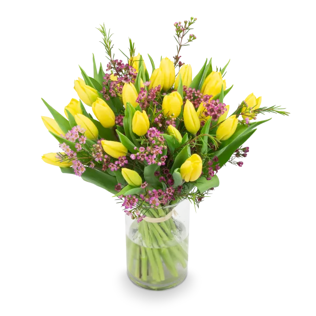 Kytice žlutých tulipánů